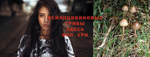 jwh Медногорск