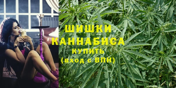 винт Мегион