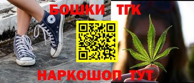 индика Бийск