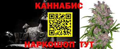 индика Бийск