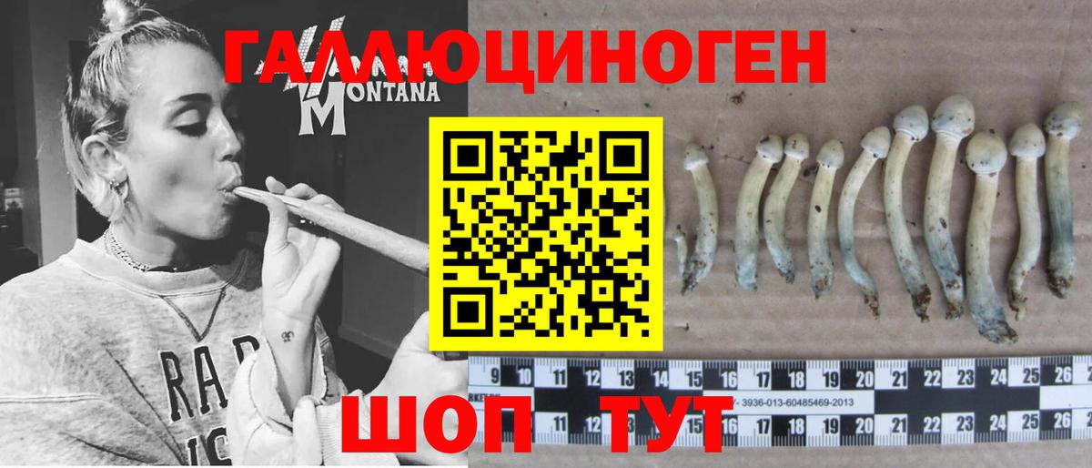 Псилоцибиновые грибы прущие грибы  Геленджик 