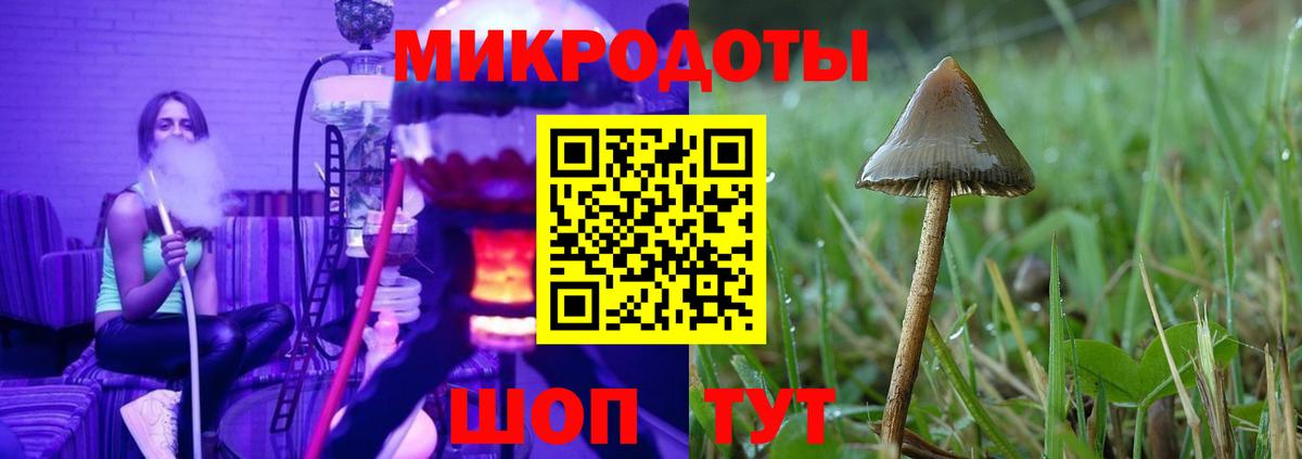 Геленджик  Псилоцибиновые грибы GOLDEN TEACHER  Псилоцибиновые грибы мицелий  Вход с VPN 